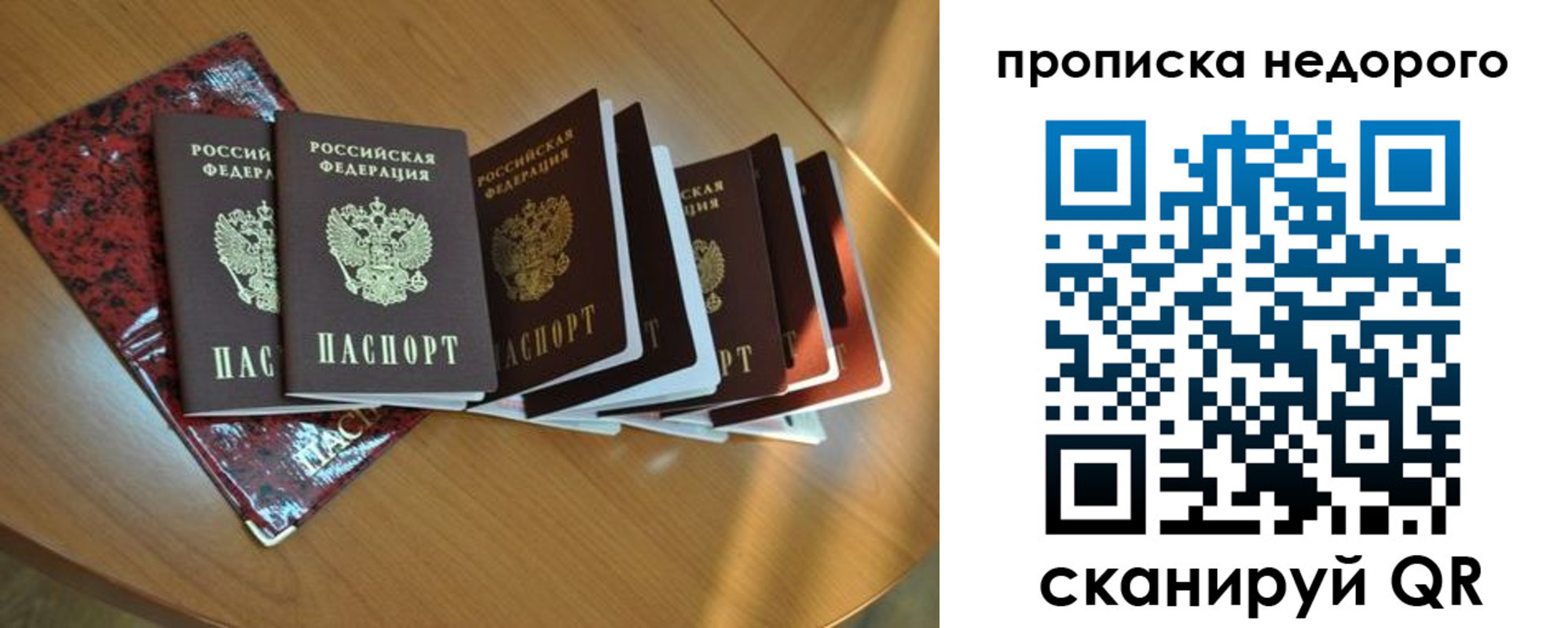 прописка штамп в Гвардейске